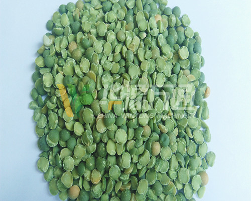 <a href=http://dhyxxx.com/product/8/ target=_blank class=infotextkey>豌豆脫皮機</a>